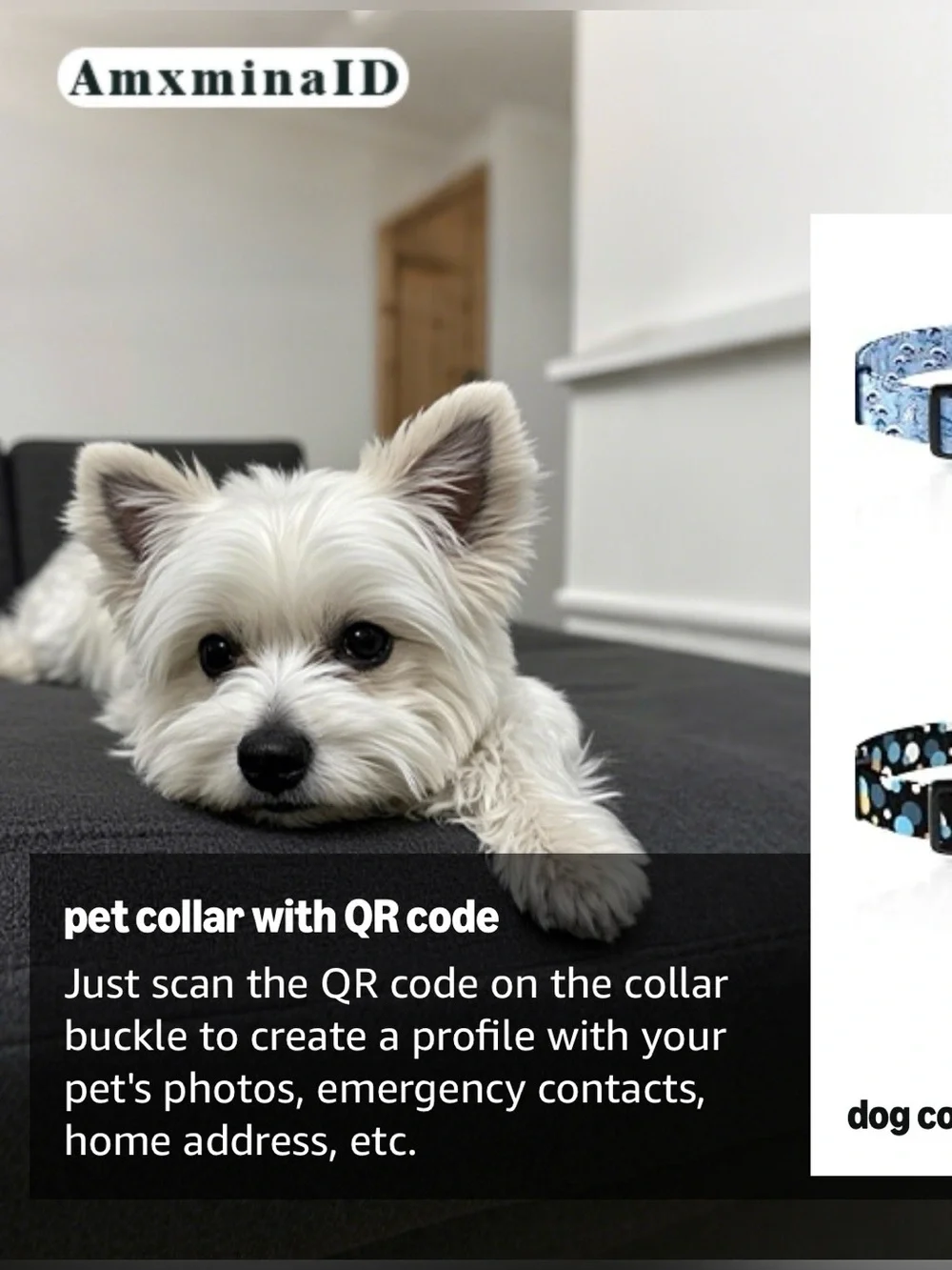 Smart ID Tag Polka Dot Dog Collar - Black with Blue, White & Tan Dots